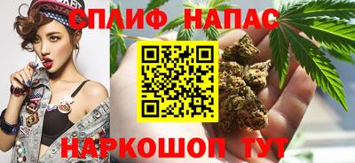 МДПВ Пенза