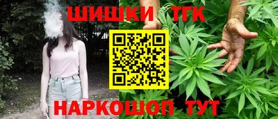 МДПВ Пенза