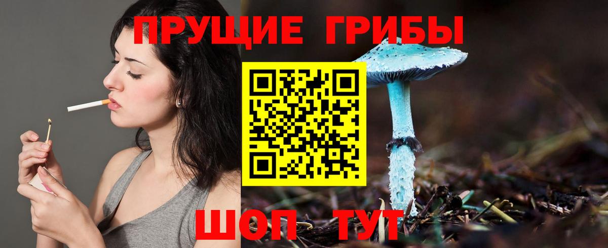 наркота  Вход с VPN  Сальск  Псилоцибиновые грибы мухоморы 
